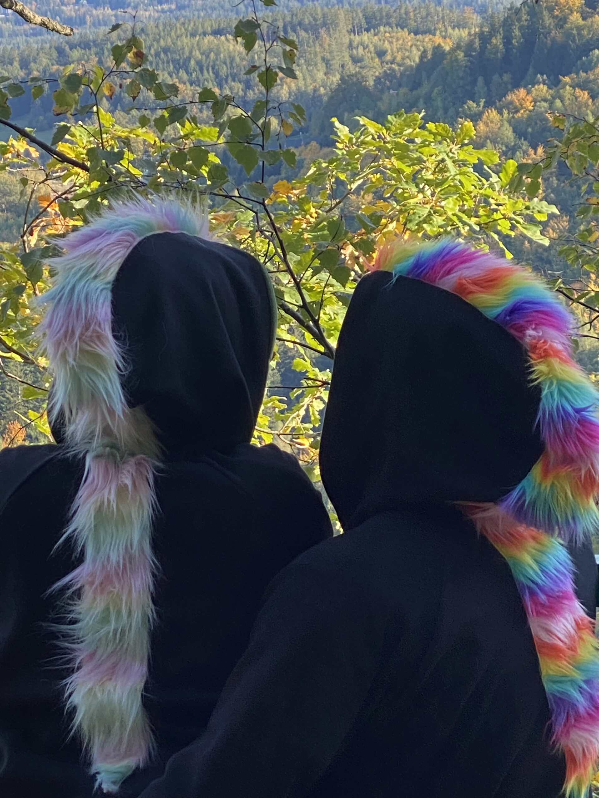 Regenbogen Flausch